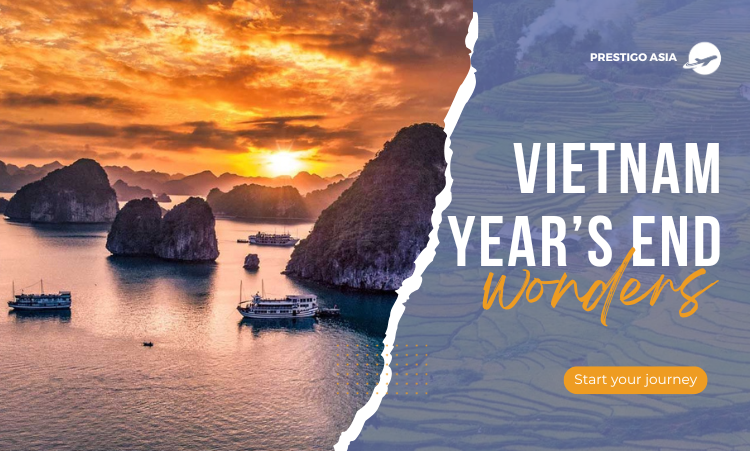 Unlocking Vietnam’s Year-End Wonders: Your Ultimate Travel Guide